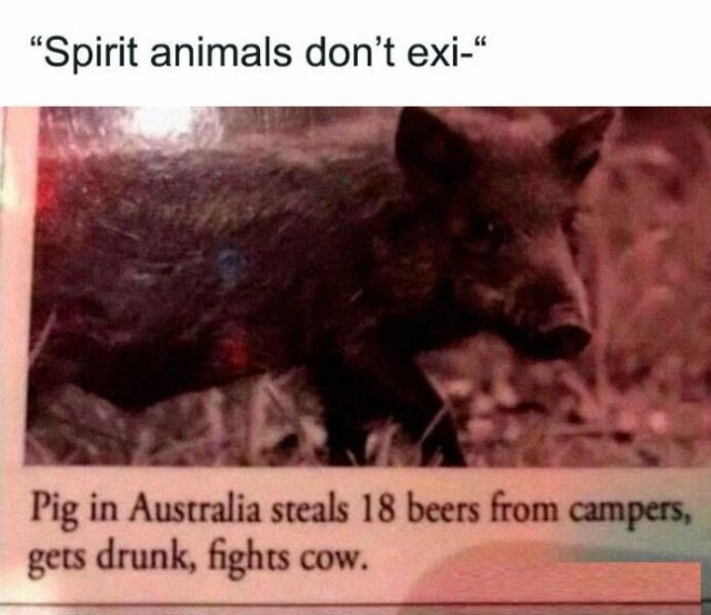 funnymemes219_040