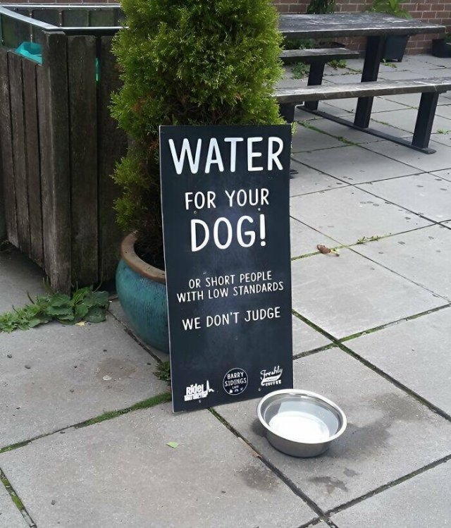 funnysigns39_015