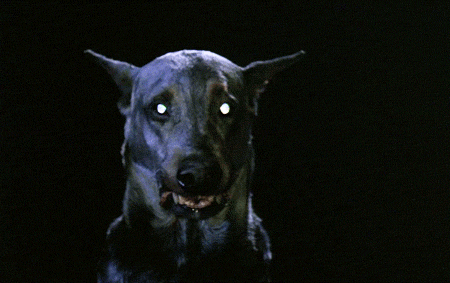 interestingfacts150_001