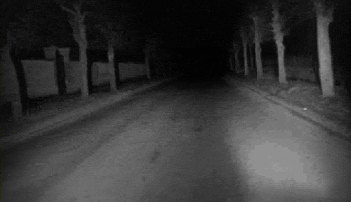 interestingfacts151_010