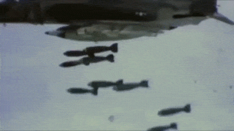 interestingfacts153_012