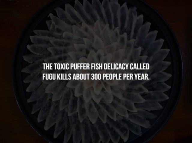 interestingfacts154_001