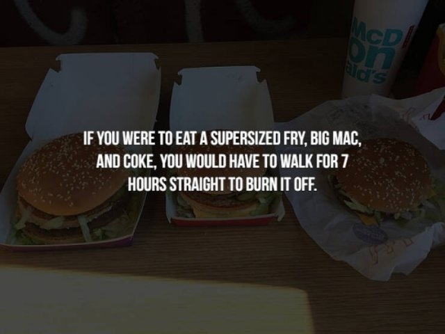 interestingfacts154_002
