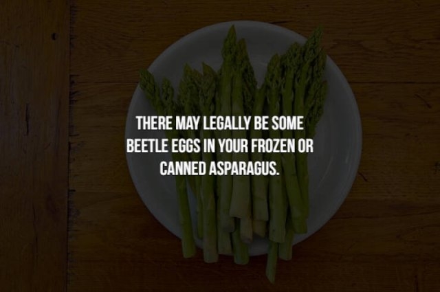 interestingfacts154_003