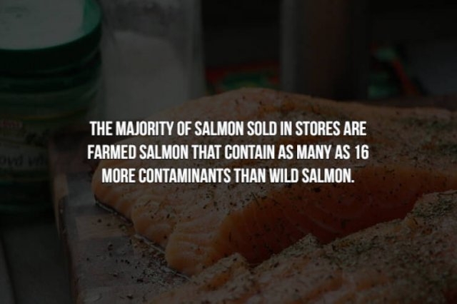 interestingfacts154_004