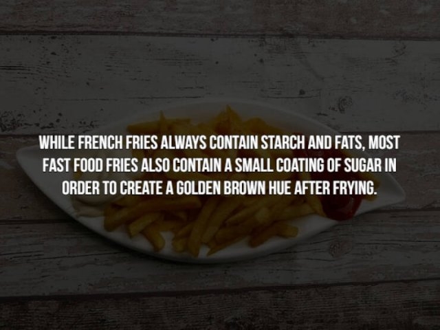 interestingfacts154_005