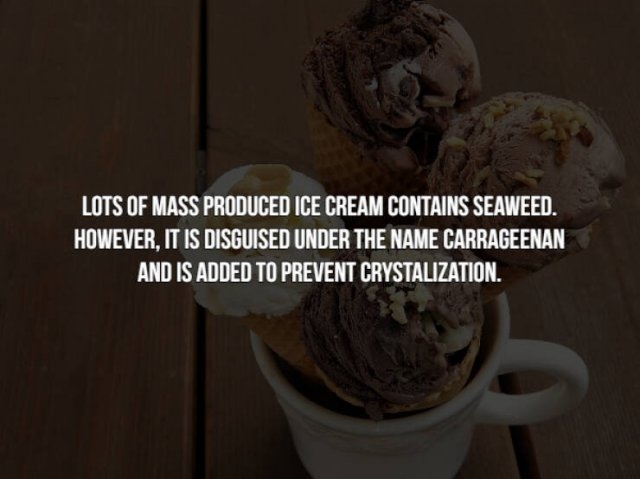 interestingfacts154_010