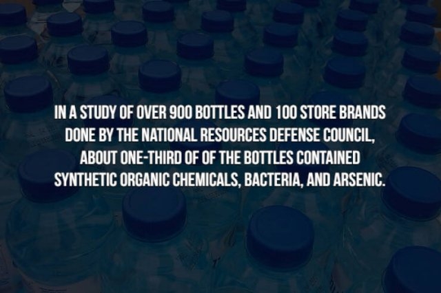 interestingfacts154_012