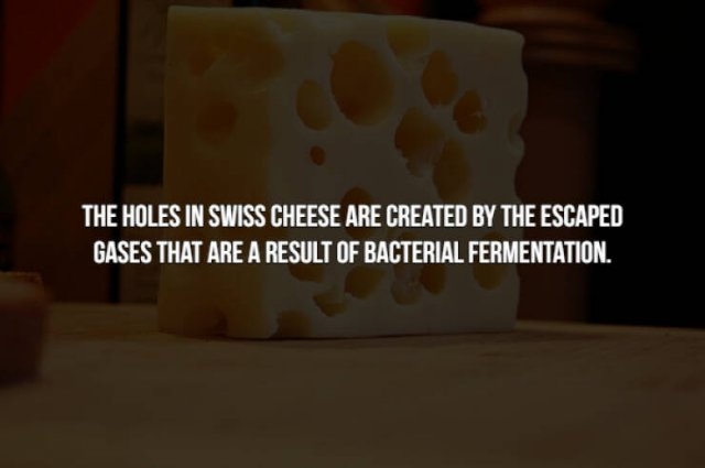interestingfacts154_013