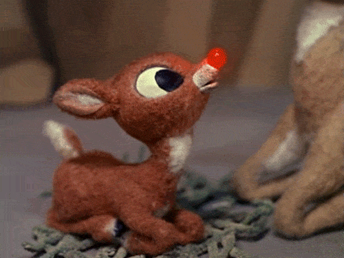 interestingfacts156_006