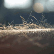 interestingfacts157_003