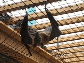 interestingfacts158_001