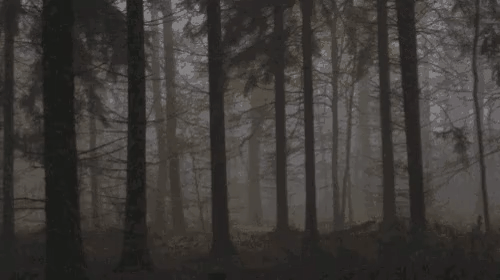 interestingfacts161_004