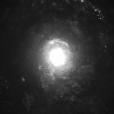 interestingfacts161_008