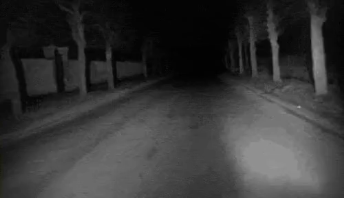 interestingfacts163_007