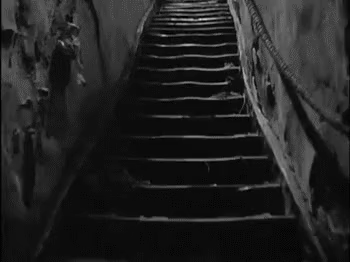 interestingfacts163_011