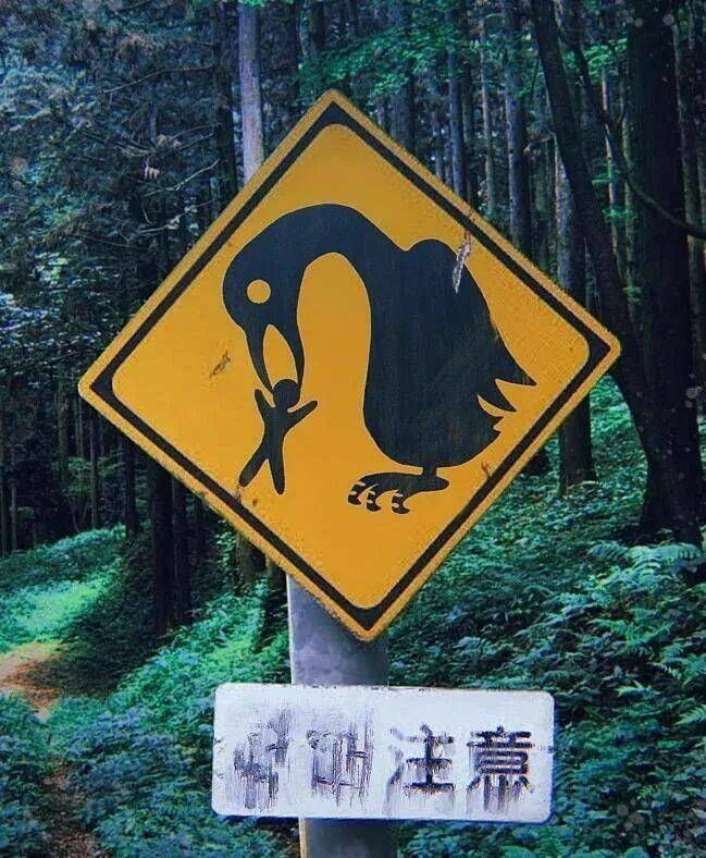 randompics1466_071
