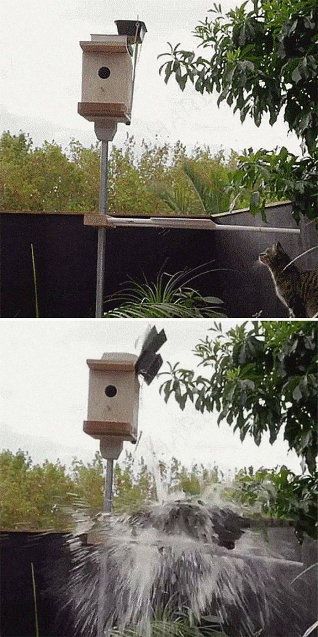 redneckengineering18_013