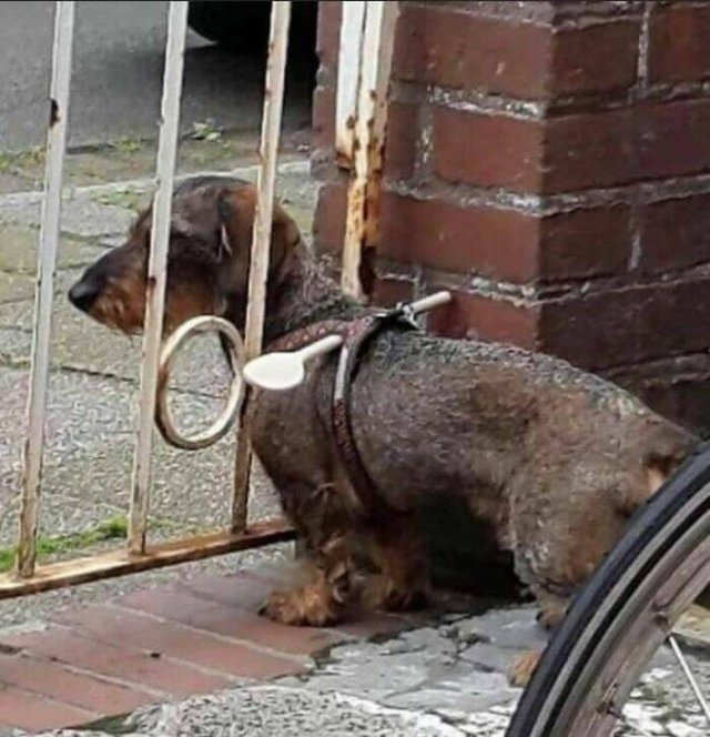 redneckengineering18_019