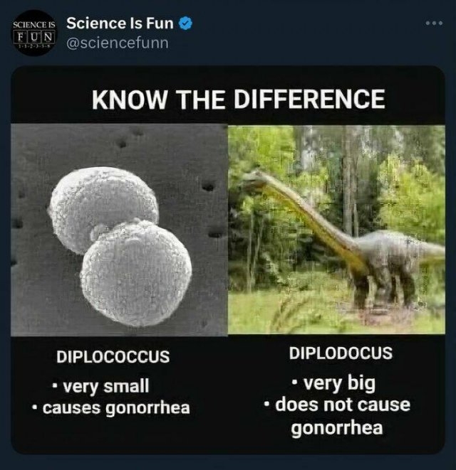 sciencememes15_005