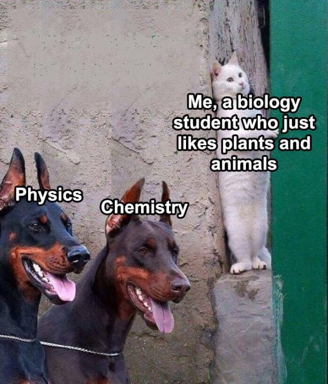 sciencememes15_043