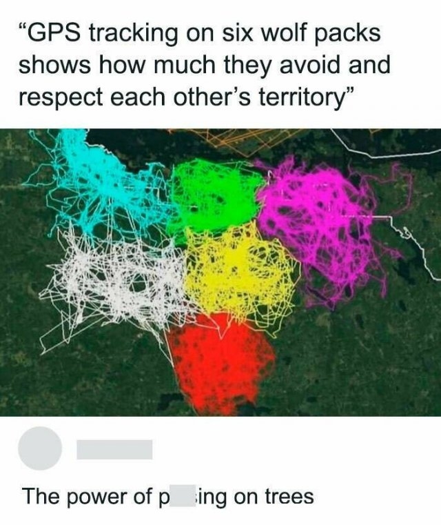 interestingdata48_004