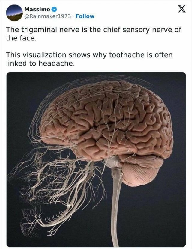 interestingdata48_019