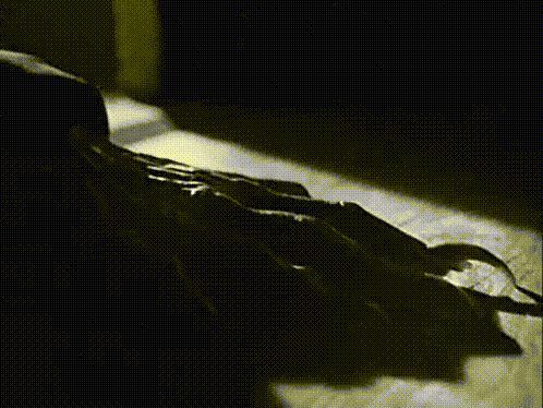 interestingfacts166_001