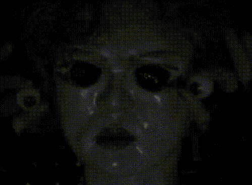 interestingfacts166_009