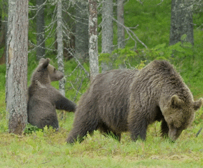 interestingfacts167_007