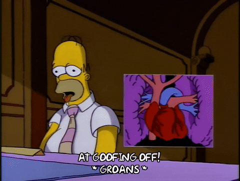 interestingfacts167_014