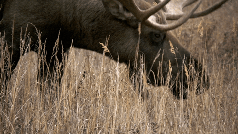 interestingfacts167_016