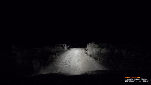 interestingfacts168_001