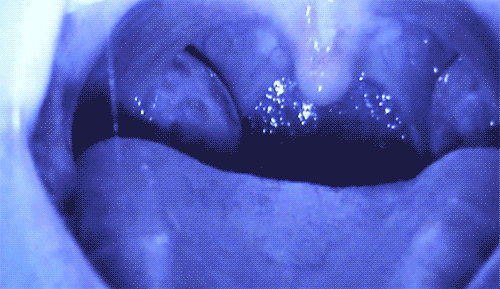 interestingfacts168_013