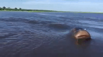 interestingfacts168_014