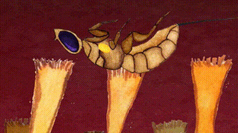 interestingfacts170_002