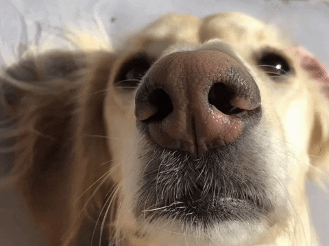 interestingfacts171_012