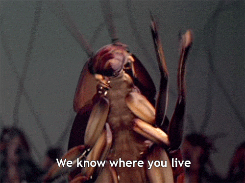 interestingfacts172_007