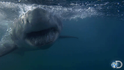 interestingfacts176_001