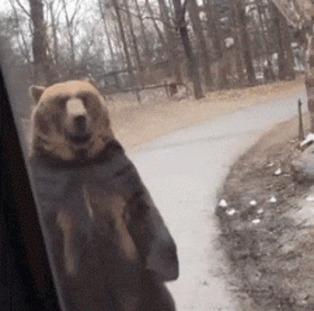 interestingfacts177_016