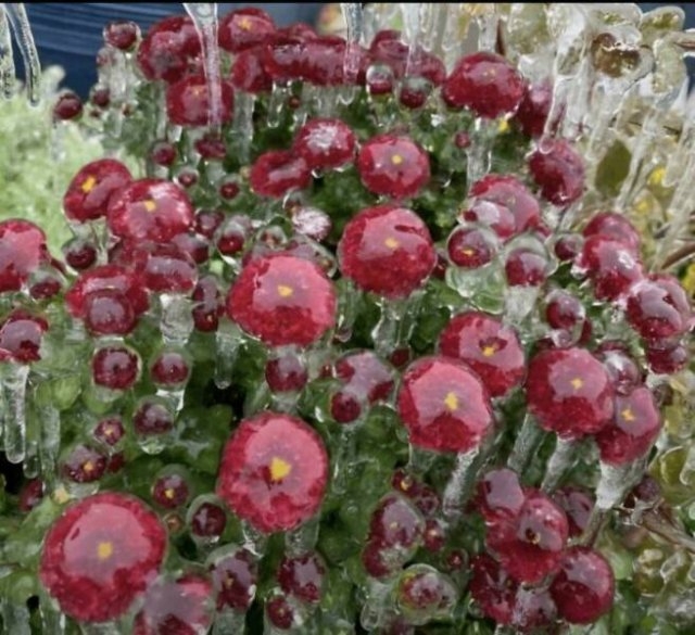 randompics1504_013