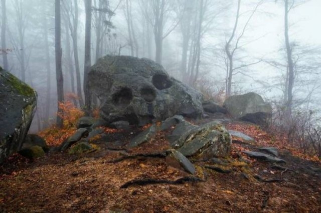 randompics1504_027