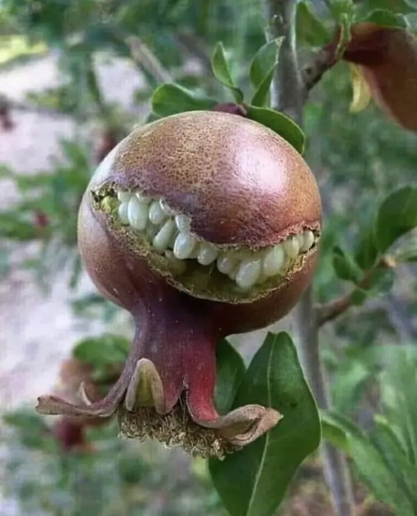 randompics1507_040