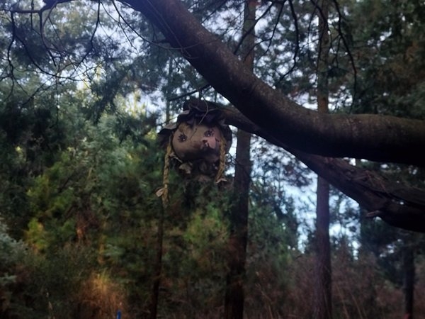 randompics1507_053