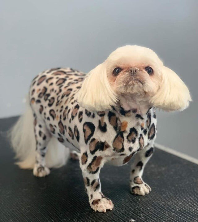 strangedesigns43_027