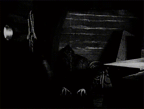 interestingfacts185_001