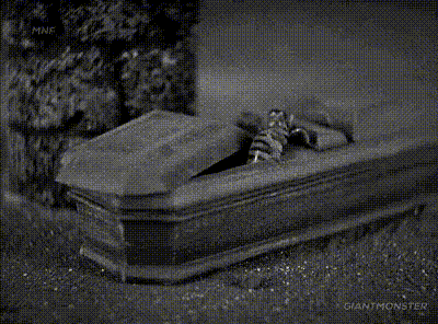 interestingfacts185_005