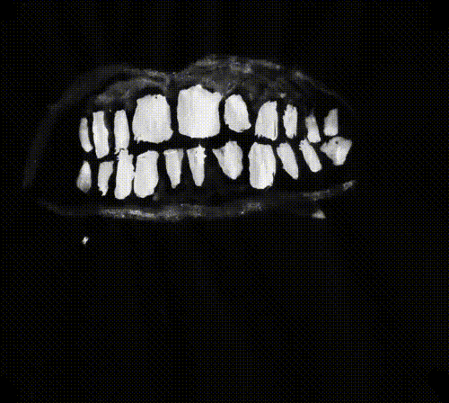 interestingfacts185_010