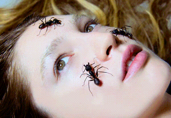 interestingfacts185_012