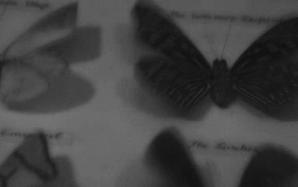 interestingfacts186_004